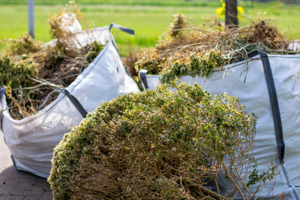 Best Electronics and E-Waste Disposal  in Riverview, SC